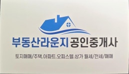 부동산라운지공인중개사