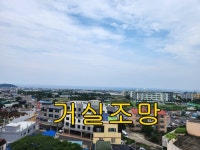 오일장신문