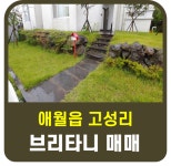 제주카카오부동산 중개