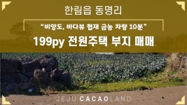 제주카카오부동산 중개