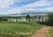오일장신문닷컴
