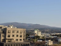 오일장신문 - 부동산