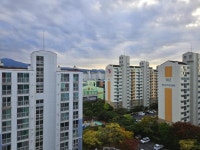 소나무공인중개사 사무소