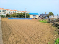 오일장신문