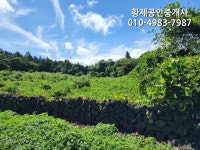 오일장신문