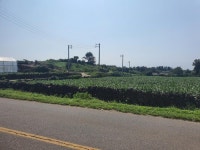 오일장신문