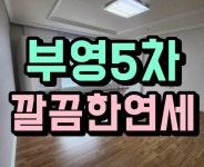 박가영공인중개사사무소