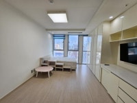 정드림공인중개사