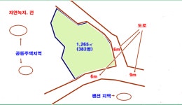 제주다움부동산중개