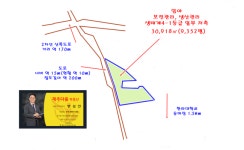 제주다움부동산중개