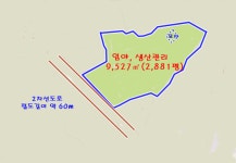 제주다움부동산중개