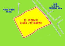 제주다움부동산중개