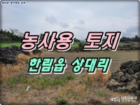 오일장신문닷컴