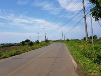 오일장신문