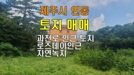 오일장신문
