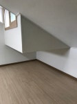 오일장신문