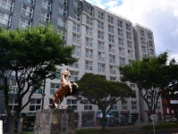 황금솔부동산중개