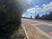 오일장신문