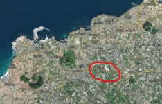 제주부동산365담덕공인중개사사무소