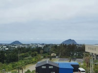 오일장신문닷컴