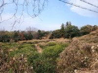 오일장신문