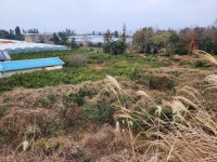 오일장신문