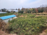 오일장신문