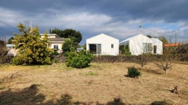 오일장신문 - 부동산