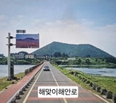 제주SJ공인중개사사무소