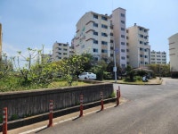 오일장신문