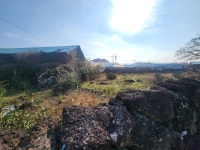 오일장신문 - 부동산