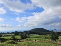 금도깨비공인중개사