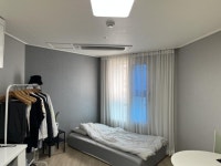 오일장신문