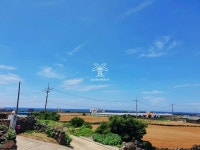 오일장신문닷컴