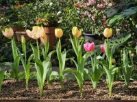 사계비전공인중개사사무소