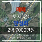 오일장신문