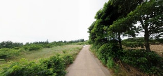 오일장신문닷컴