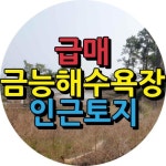 슬기부동산공인중개사사무소