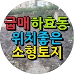 오일장신문