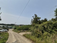 오일장신문
