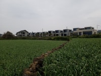 오일장신문닷컴