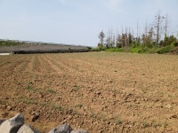 오일장신문닷컴