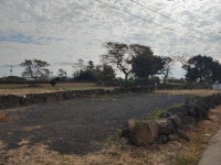 오일장신문닷컴