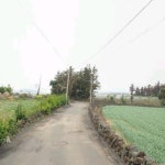 풍경공인중개사