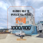 든든한공인중개사사무소