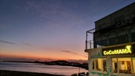 제주샤인공인중개사사무소