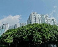 수림공인중개사