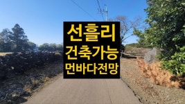 지우공인중개사사무소