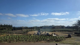 지우공인중개사사무소