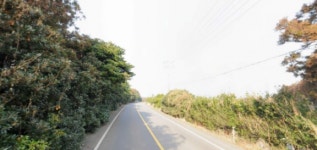 오일장신문